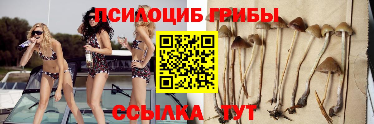 Галлюциногенные грибы Psilocybine cubensis  Вход с VPN  Галлюциногенные грибы Cubensis  Лыткарино 